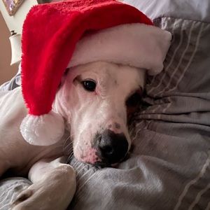 Meet your Posher, Brians